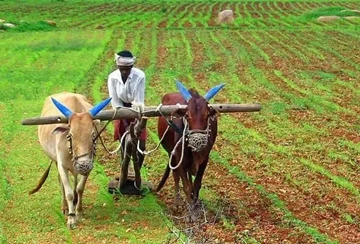 ہندوستان کی زرعی مصنوعات بڑی مقدار میں برآمد کی جاتی ہیں، ایک دو دھاری تلوار ...