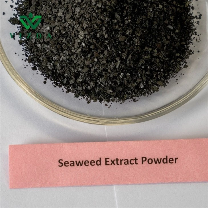Soluble Black Seaweed Extract